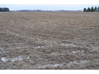 Property photo 6 - 175 Acres Offered in 5 Tracts - Tontogany, Ohio Farm Land Auction